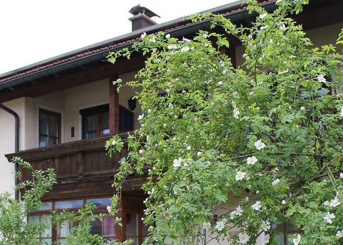 Andrea - Chiemgau Karte *