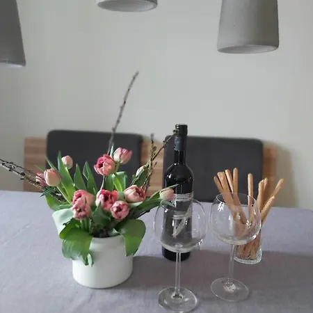Andrea - Chiemgau Karte Apartmán *