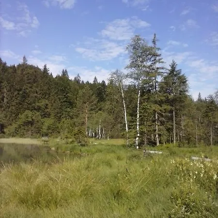 Andrea - Chiemgau Karte * Inzell