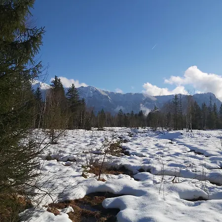 Andrea - Chiemgau Karte *