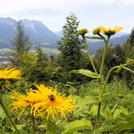 Andrea - Chiemgau Karte 公寓 *