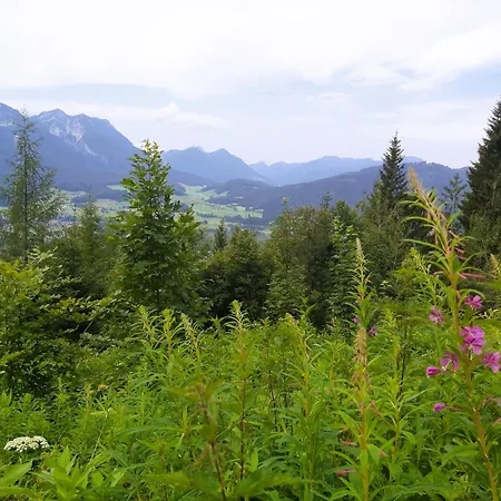 Andrea - Chiemgau Karte *