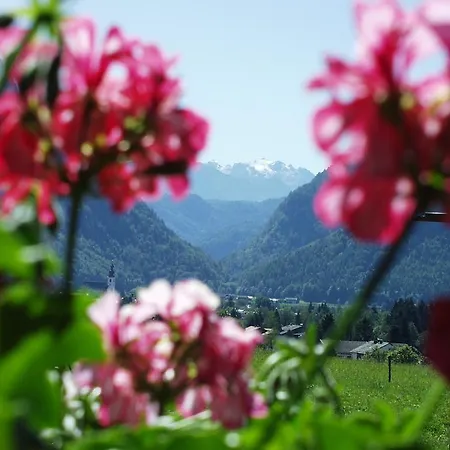 Apartmán Andrea - Chiemgau Karte