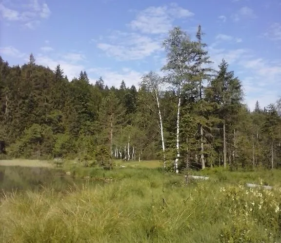 Andrea - Chiemgau Karte * Инцелль