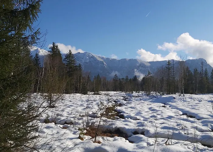 Andrea - Chiemgau Karte *