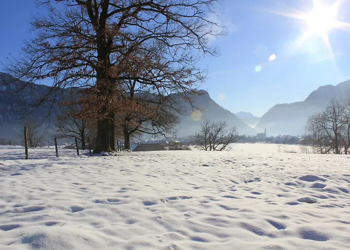 Апартаменты Andrea - Chiemgau Karte