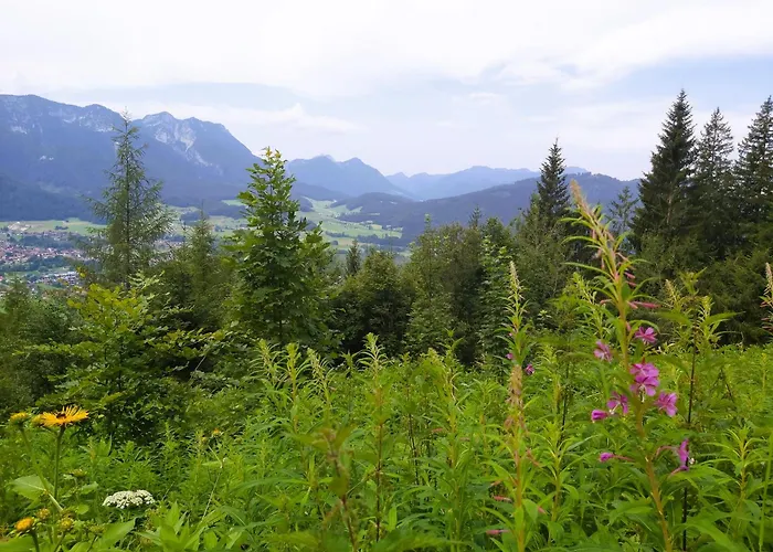 Andrea - Chiemgau Karte *