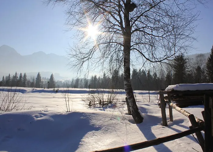 Apartamento Andrea - Chiemgau Karte
