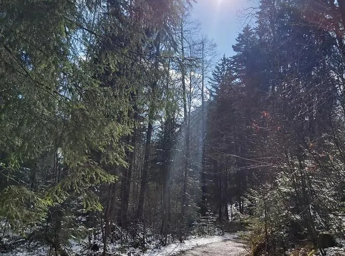 Andrea - Chiemgau Karte شقة انزل